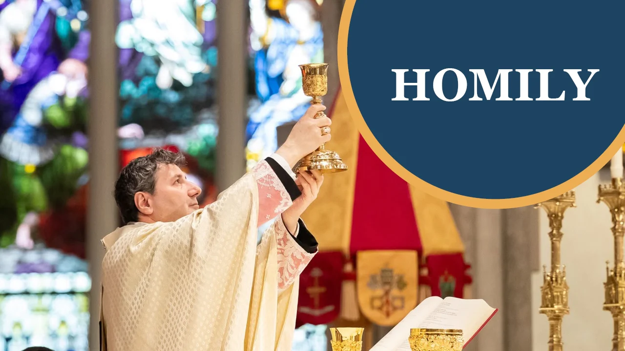 Stewardship Sunday Homily