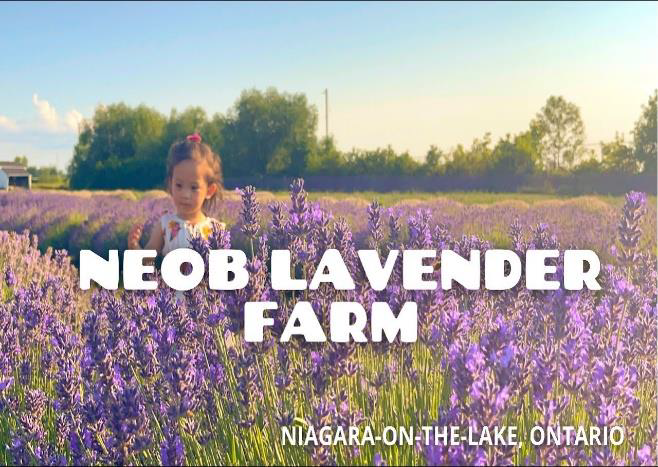 Niagara on the Lake Farm